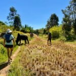 WhatsApp Image 2024-05-11 at 18.07.47