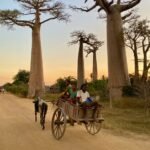 WhatsApp Image 2024-05-19 at 07.18.22