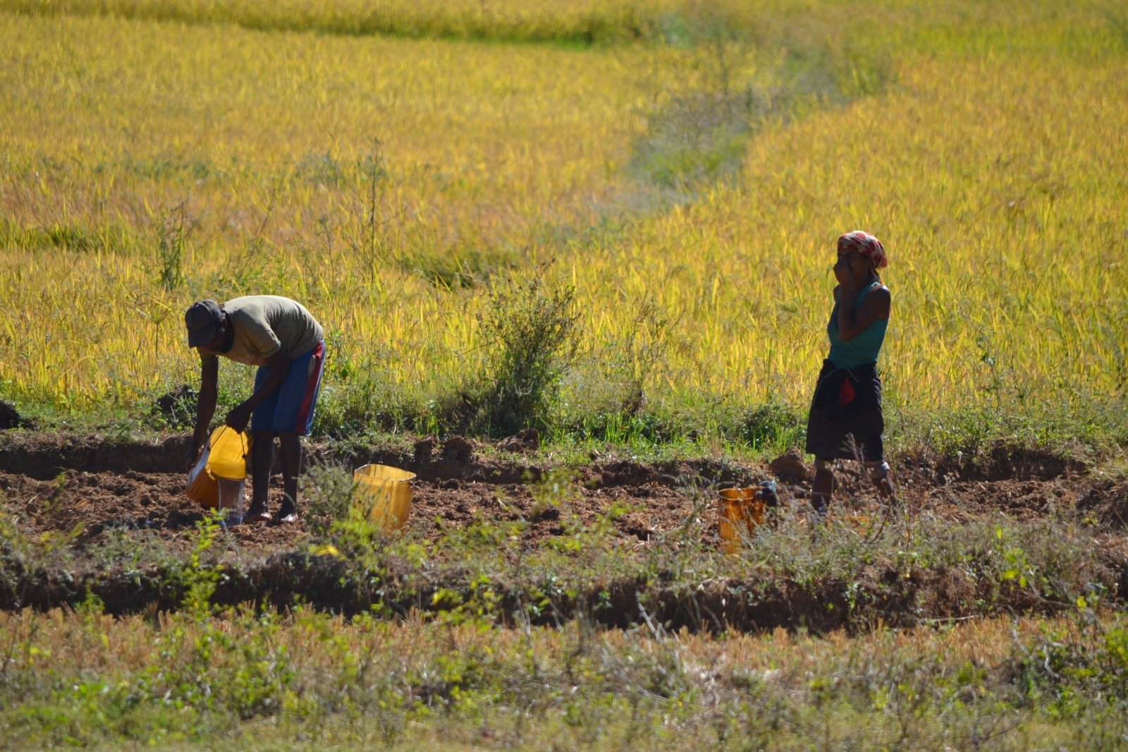 WhatsApp Image 2024-05-22 at 17.10.02