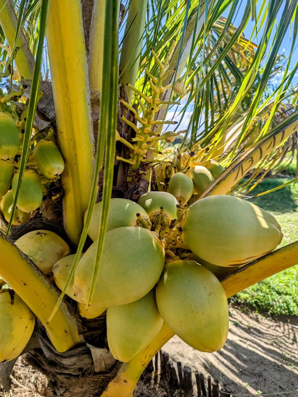 WhatsApp Image 2025-06-05 at 15.34.14